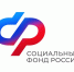 Более 14 400 дополнительных выходных дней оплатило Отделение СФР по Ульяновской области работающим родителям по уходу за детьми с инвалидностью с начала года. - Старомайнский район